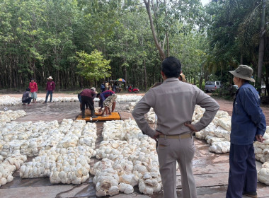 ติดตามธุรกิจรวบรวมยาง “กลุ่มเกษตรกรทำสวนยางก้าวหน้าสามัคคี” พารามิเตอร์รูปภาพ 5